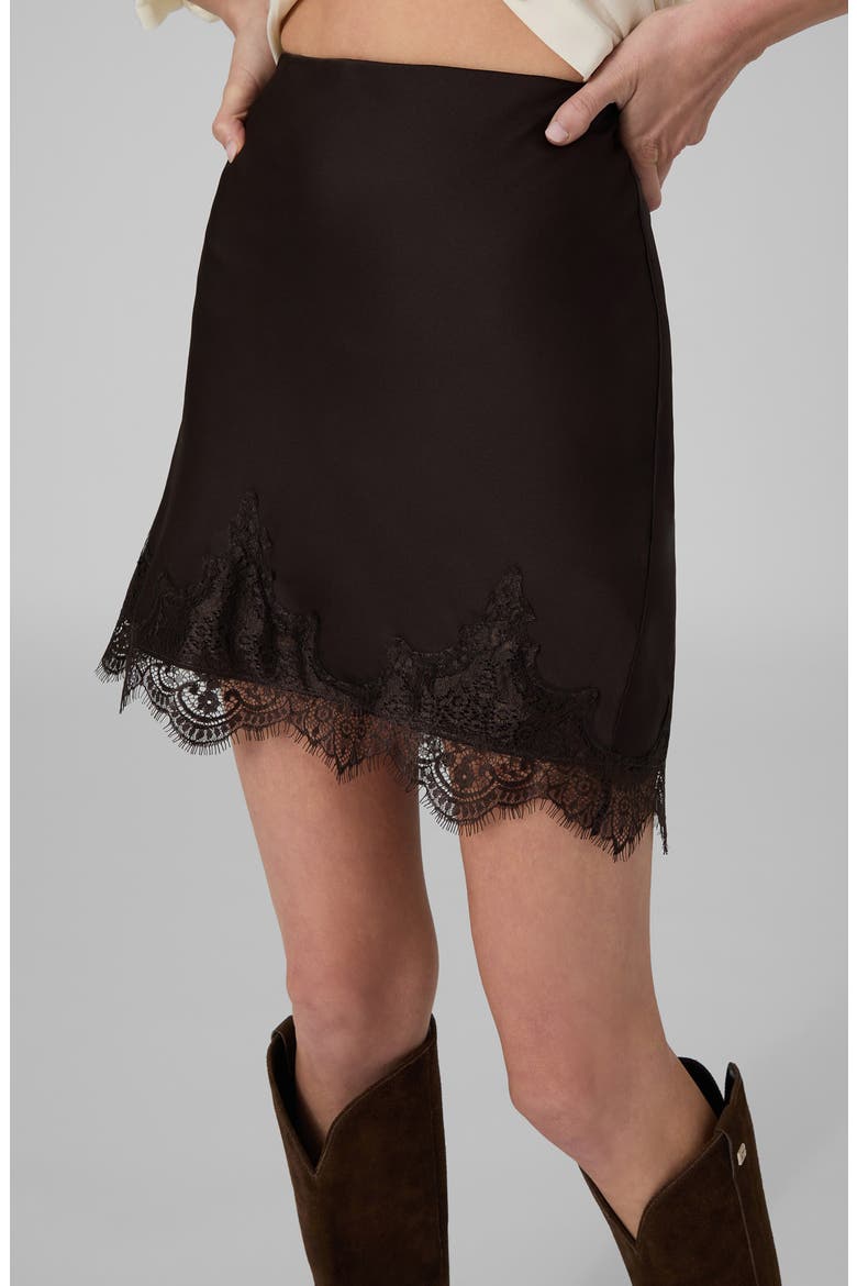 Sophie Lace Detail Bias Miniskirt, Alternate, color, DARK BROWN