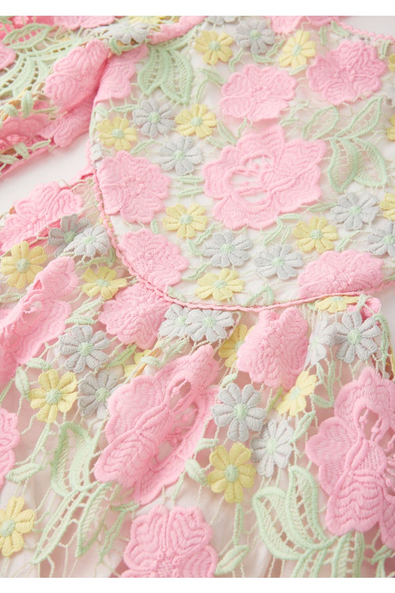 Estella Embroidered Mini Dress, Alternate, color, Floral