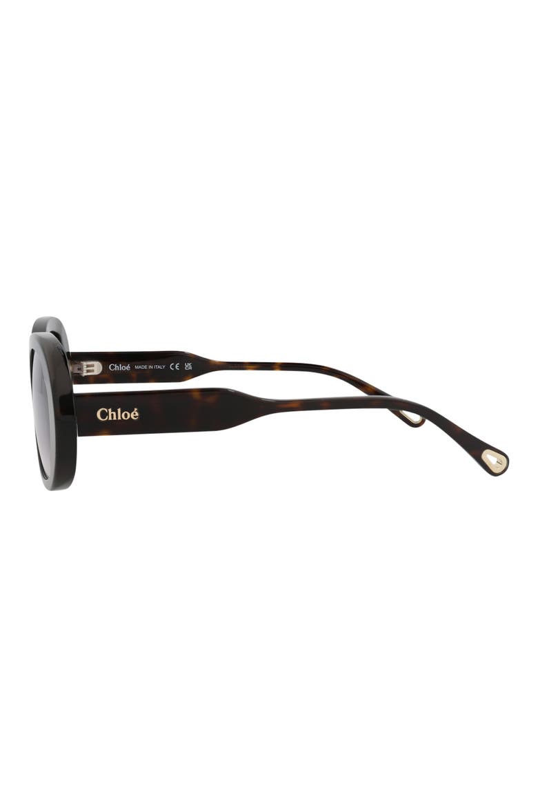 53mm Oval Sunglasses, Alternate, color, HAVANA HAVANA BLUE