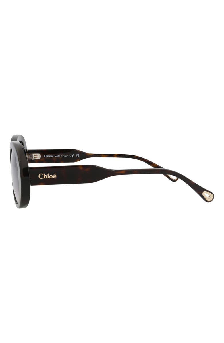 Chloé 53mm Oval Sunglasses, Alternate, color, Havana Havana Blue