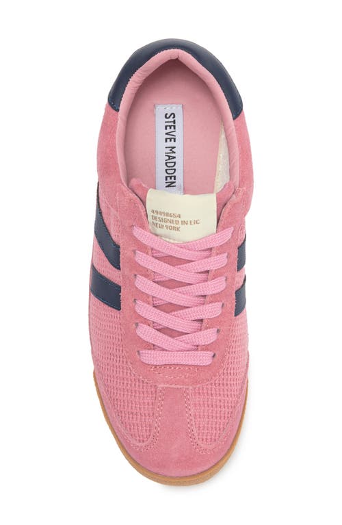 Steve Madden Nirvanna Sneaker In Mauve