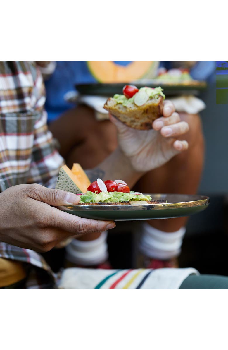 Hydro Flask Stainless Steel Plate, Alternate, color,