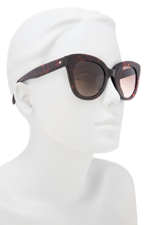 Kate Spade New York Belah 50mm Gradient Round Sunglasses In Brown