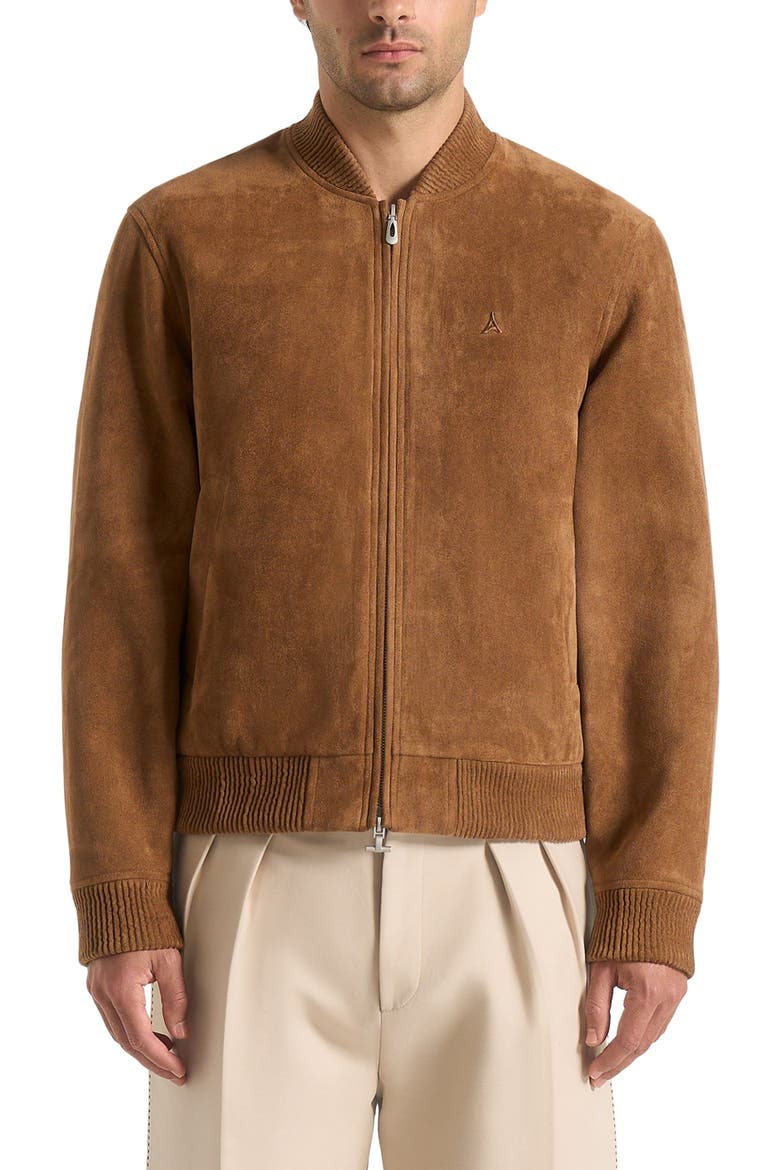 Arsene Suede Bomber Jacket, Alternate, color, Fawn