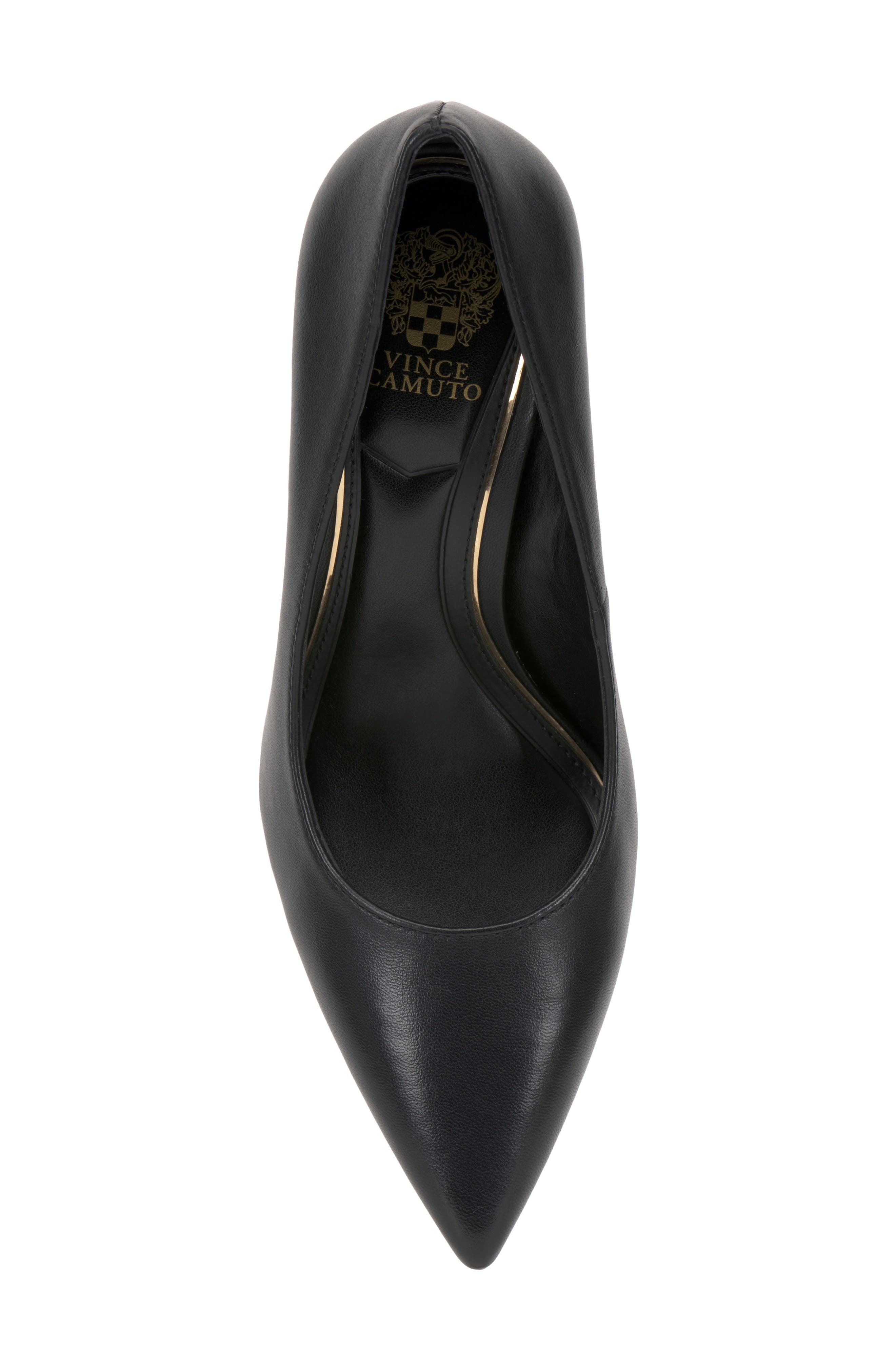 Vince Camuto Maisha Pointed Toe Pump, Alternate, color, 
