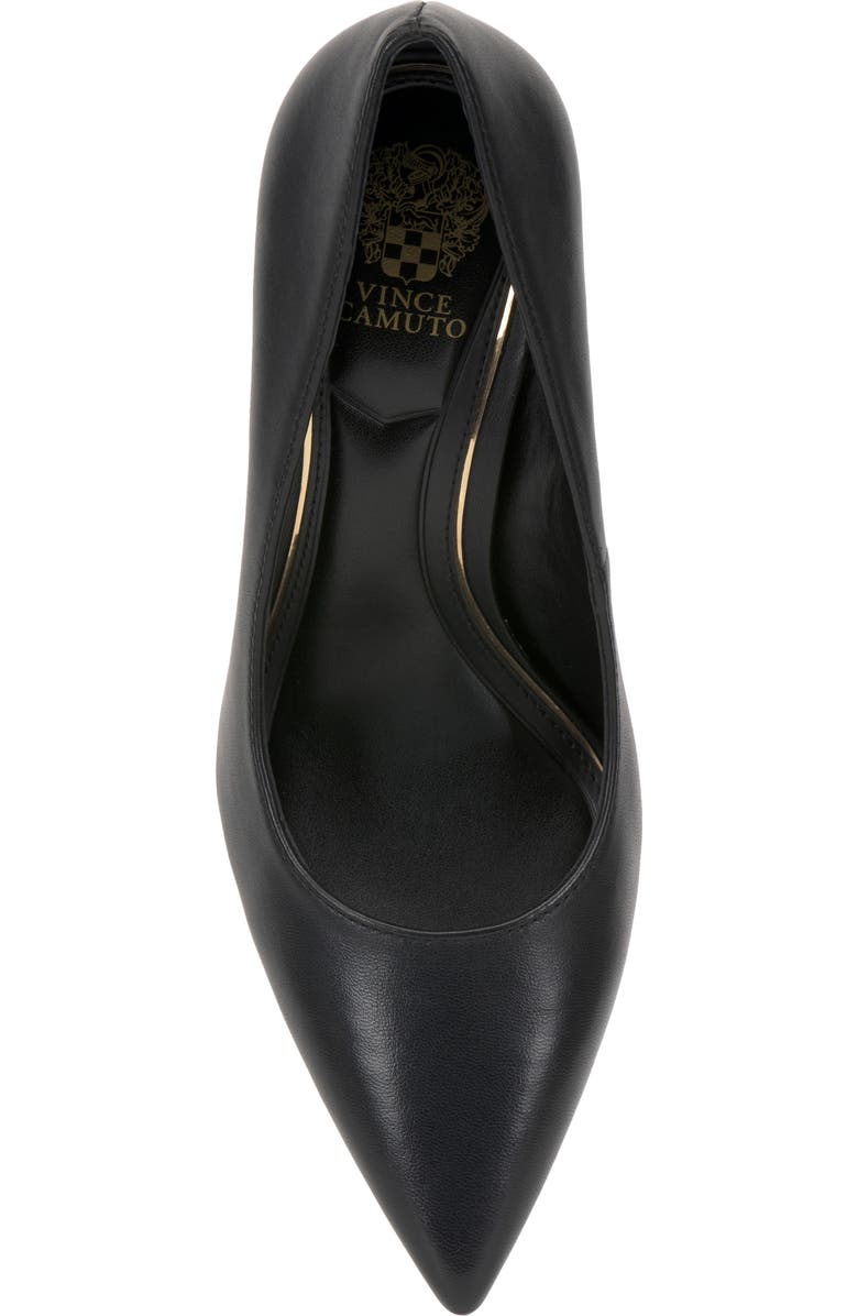 Vince Camuto Maisha Pointed Toe Pump, Alternate, color,