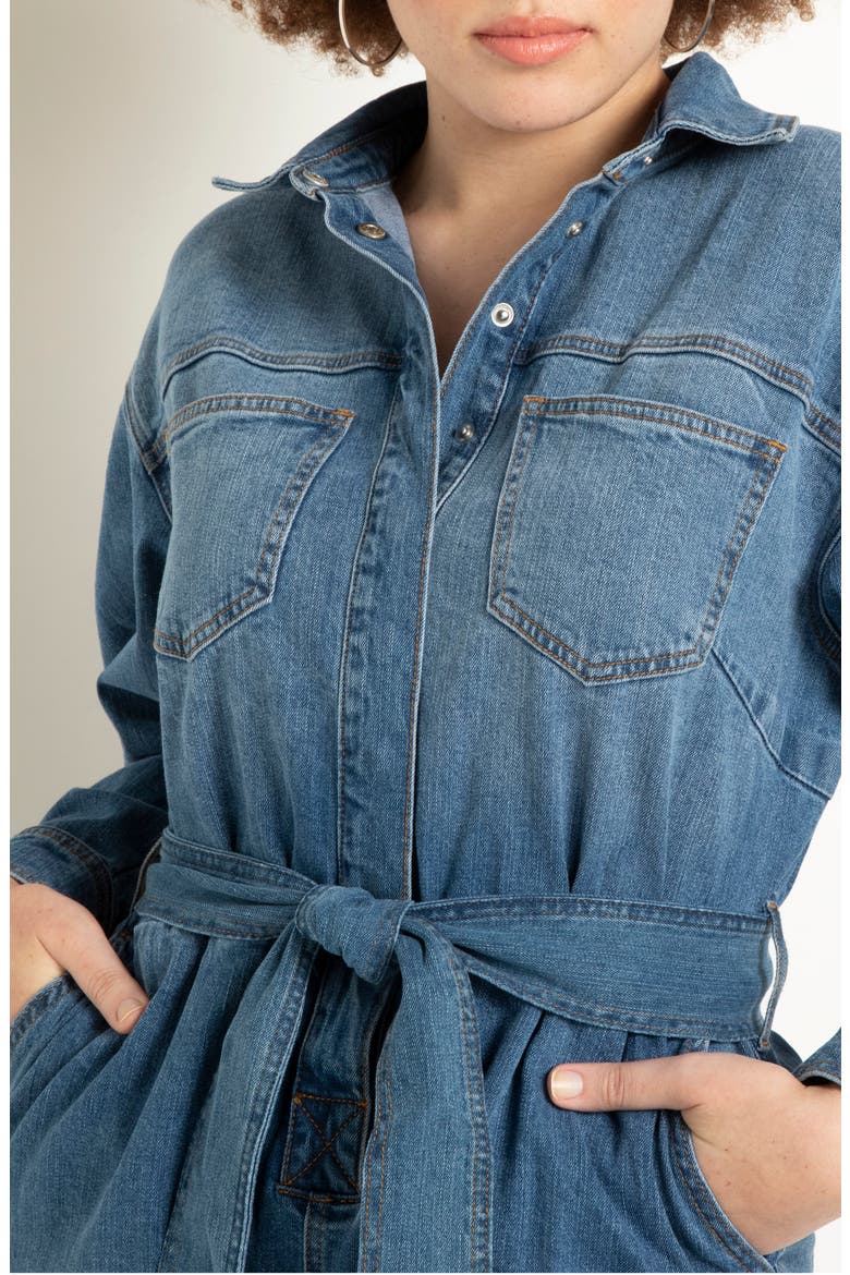 Long Sleeve Denim Jumpsuit, Alternate, color, MEDIUM WASH