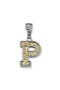  Silver/Gold P