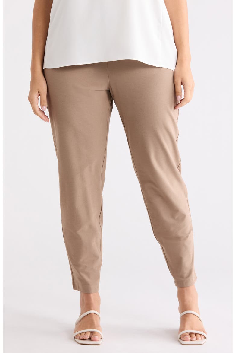 Slim Ankle Pants, Main, color, COCOA
