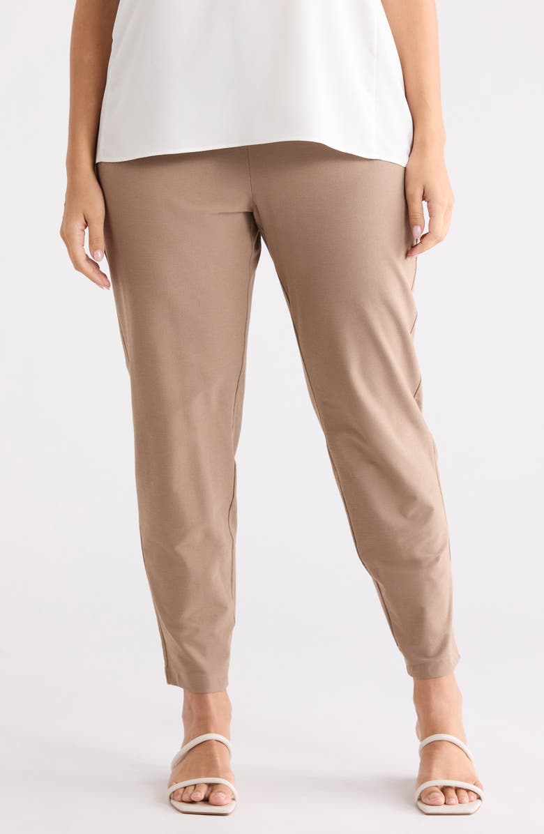 Eileen Fisher Slim Ankle Pants, Main, color, Cocoa