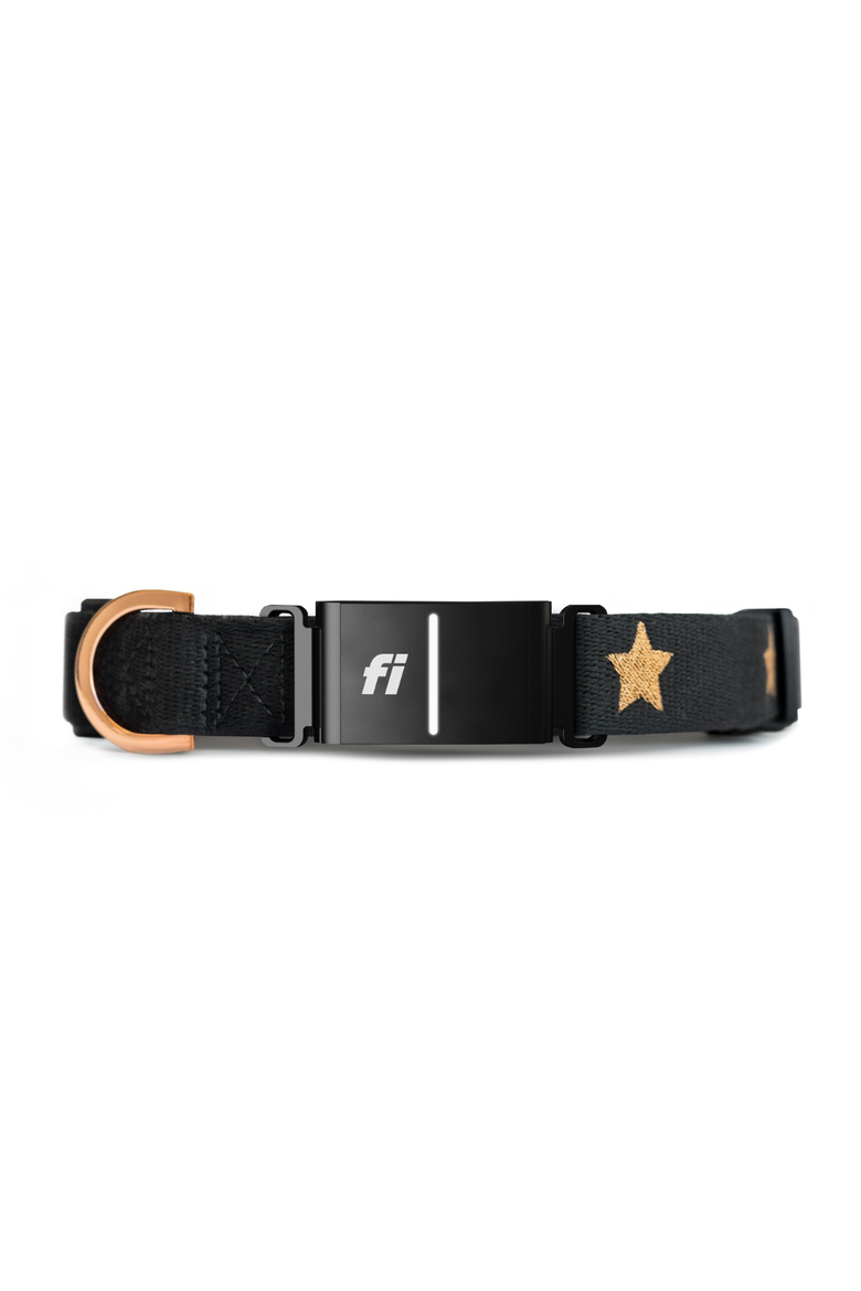 Rockstar 3+ Collar Band, Main, color, Large
