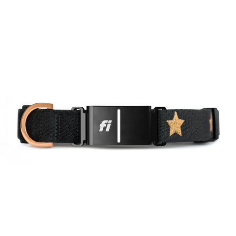 Rockstar 3+ Collar Band