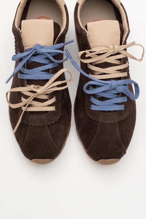 Forever & Always Shoes Crea Leather Sneakers In Dark Brown Leather