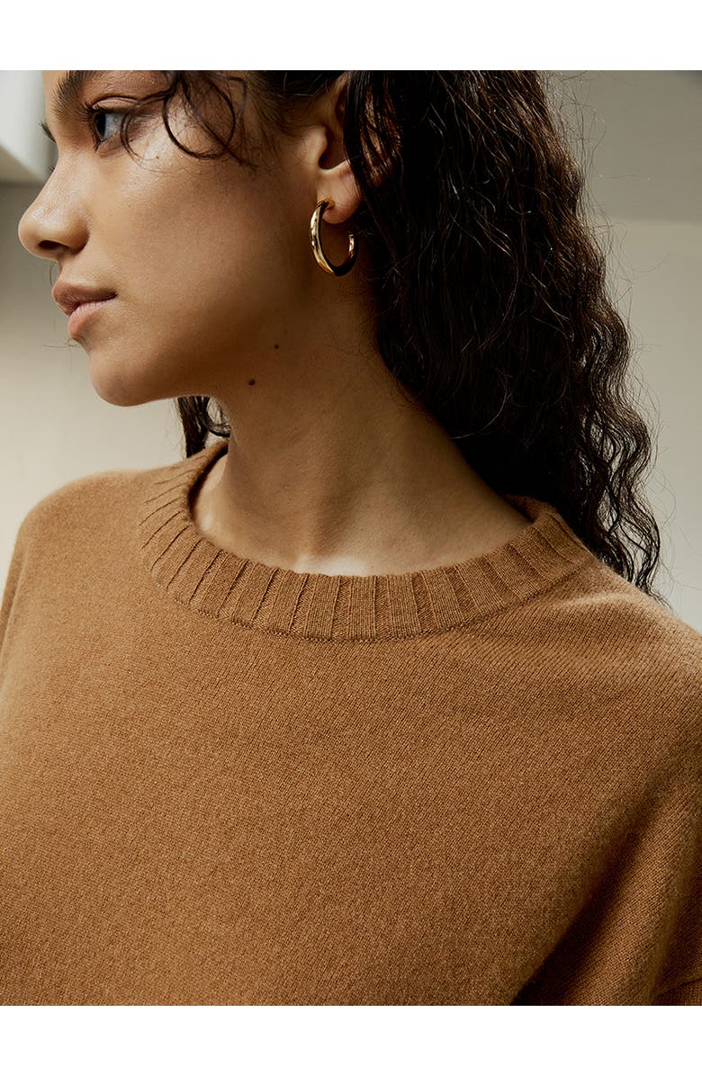 Lilysilk Women's Crew Neck Cashmere Sweater, Alternate, color, Brown