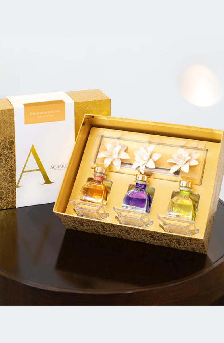 Agraria San Francisco PetiteEssence Diffuser Collection, Alternate, color, Our Signature Fragrances