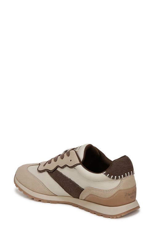 Blowfish Malibu Valley Sneaker In Cream/chocolate Faux Leather