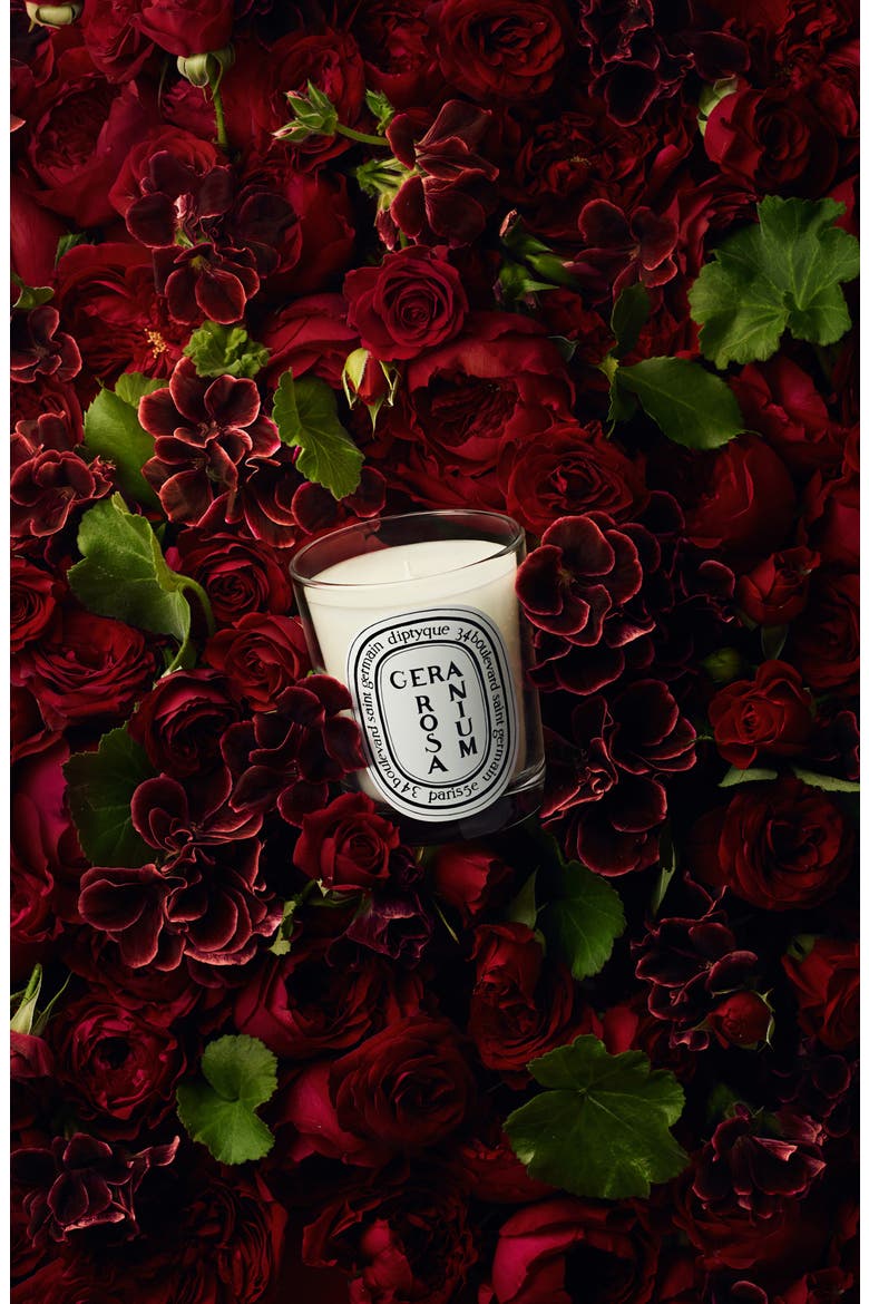 Geranium Rosa (Rose) Scented Candle, Alternate, color, NO COLOR