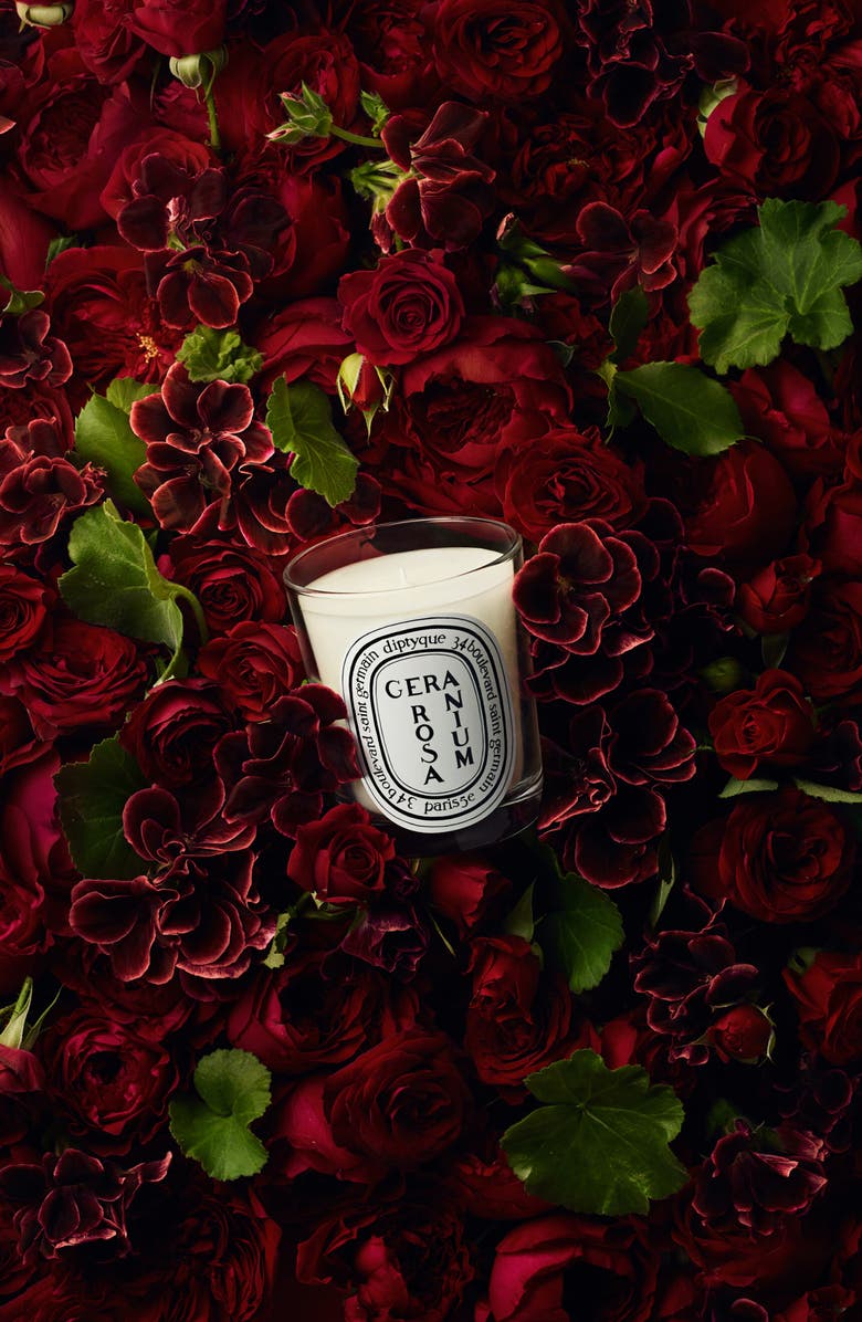 Diptyque Geranium Rosa (Rose) Scented Candle, Alternate, color,