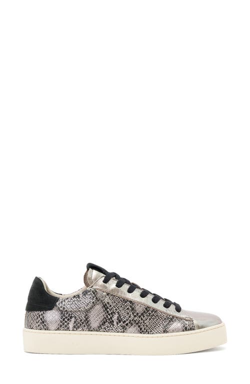Allsaints Leather Snake-effect Shana Sneakers In Gray