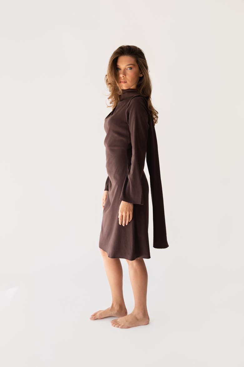 Johanna Dress, Alternate, color, Brown