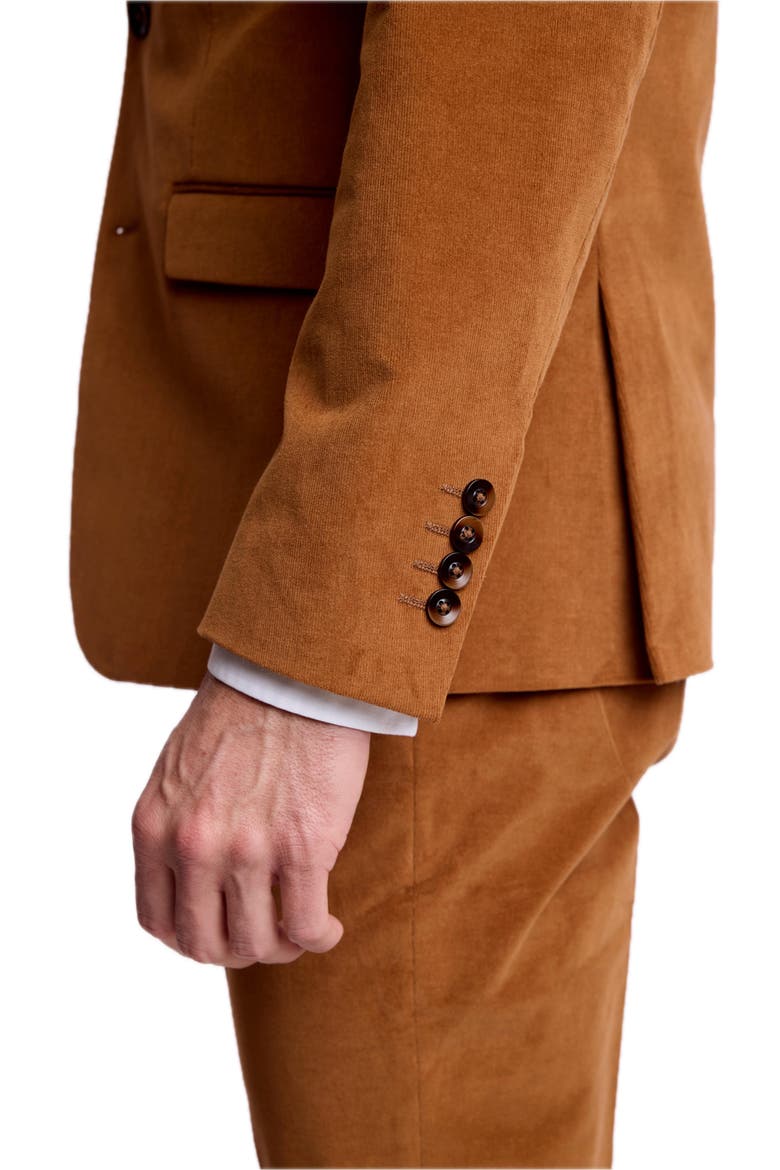 Ashton Slim Peak Jacket, Alternate, color, CARAMEL COFFEE