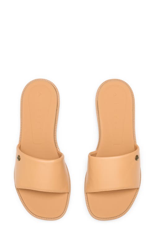 Reef Cushion Sunny Slide Sandal In Natural