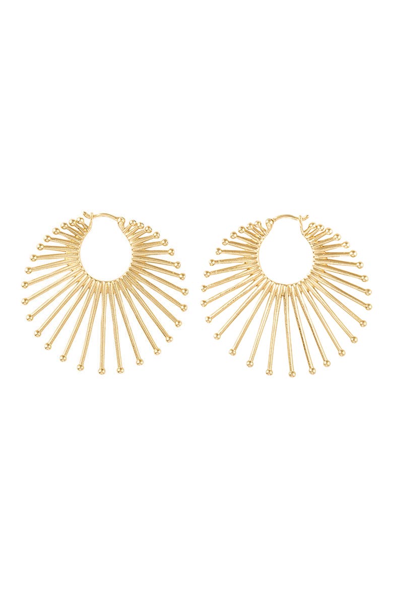 Roar Lion 14k Gold Diamond Hoop Earrings, Main, color, YELLOW GOLD, DIAMOND