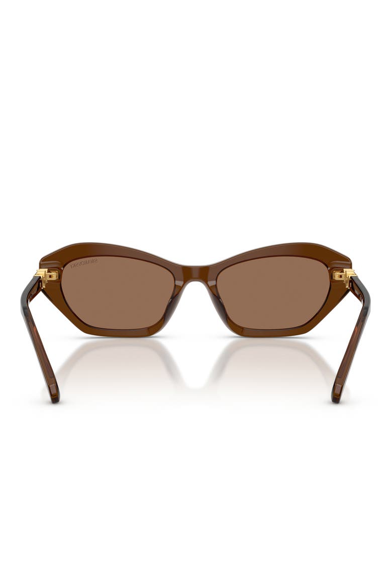 54mm Cat Eye Sunglasses, Alternate, color, TRANSPARENT BROWN / DARK BROWN