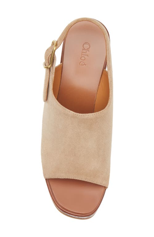 Chloé Maxime Platform Wedge Suede Sandals In Brown