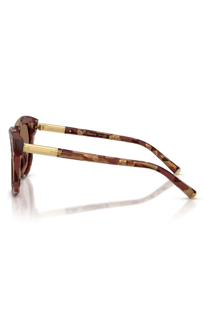 Dolce&Gabbana 52mm Phantos Sunglasses, Alternate, color, Pearl Havana Brown