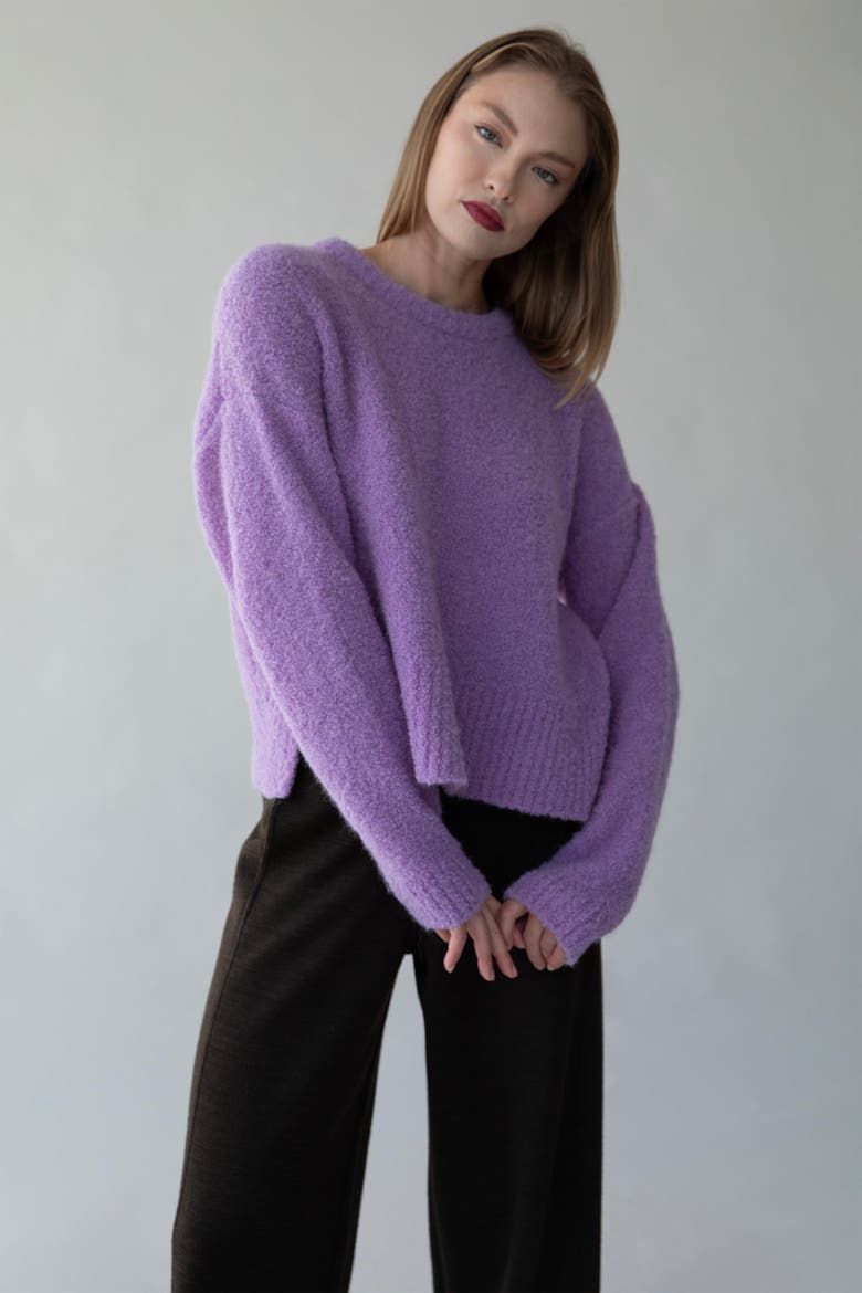 Belle Boucle Pullover, Alternate, color, IRIS