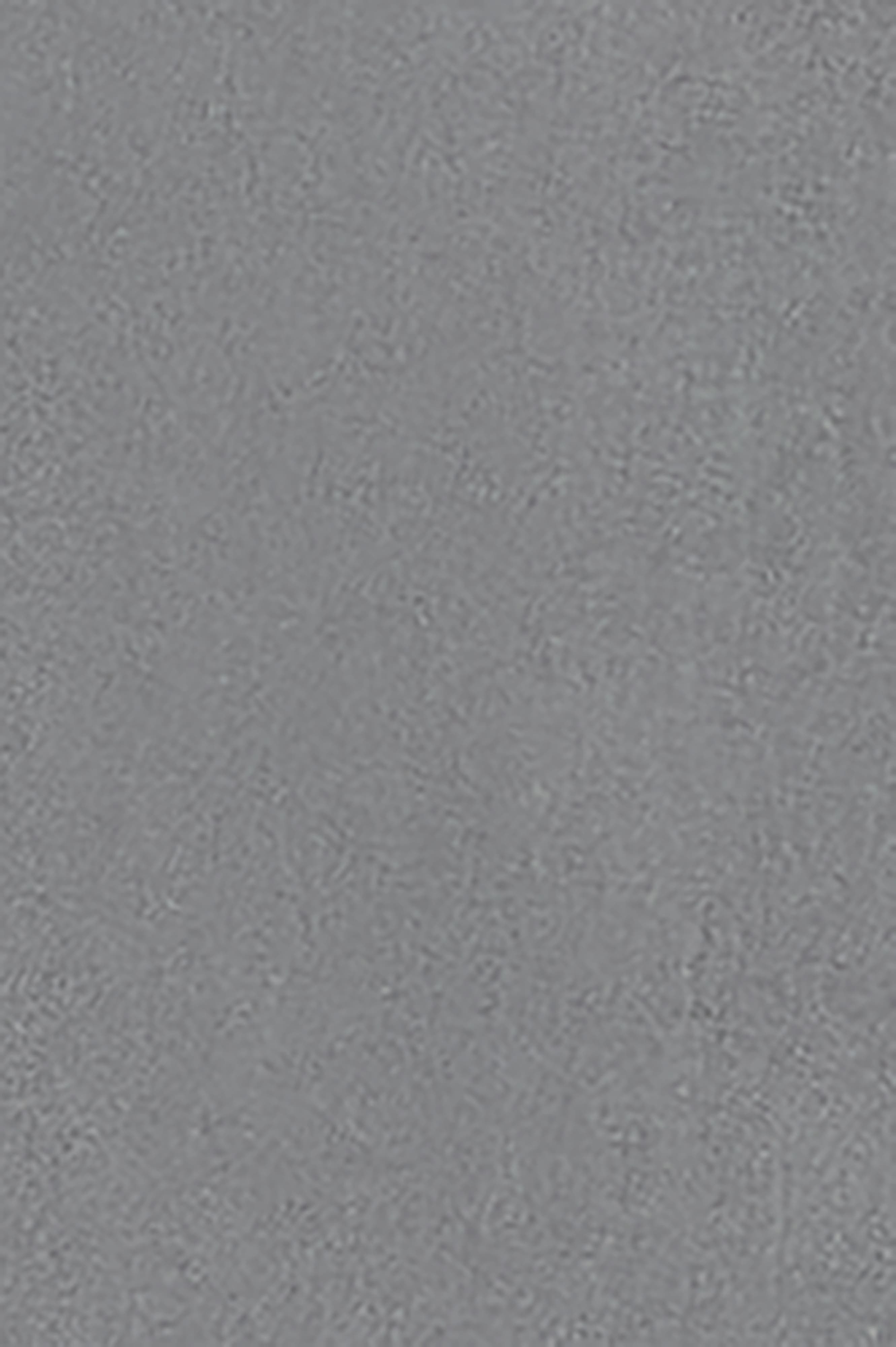 Rib Panel Active Short - image 2