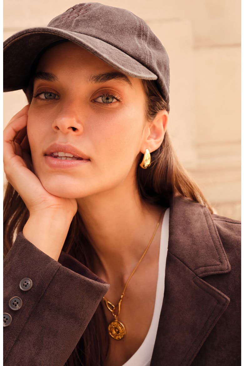 Embroidered Cap, Alternate, color, Chocolate
