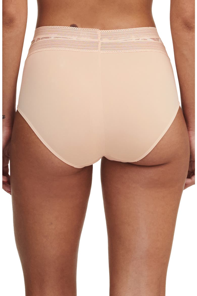 True Lace High Waist Briefs, Alternate, color, BEIGE BLUSH-1N