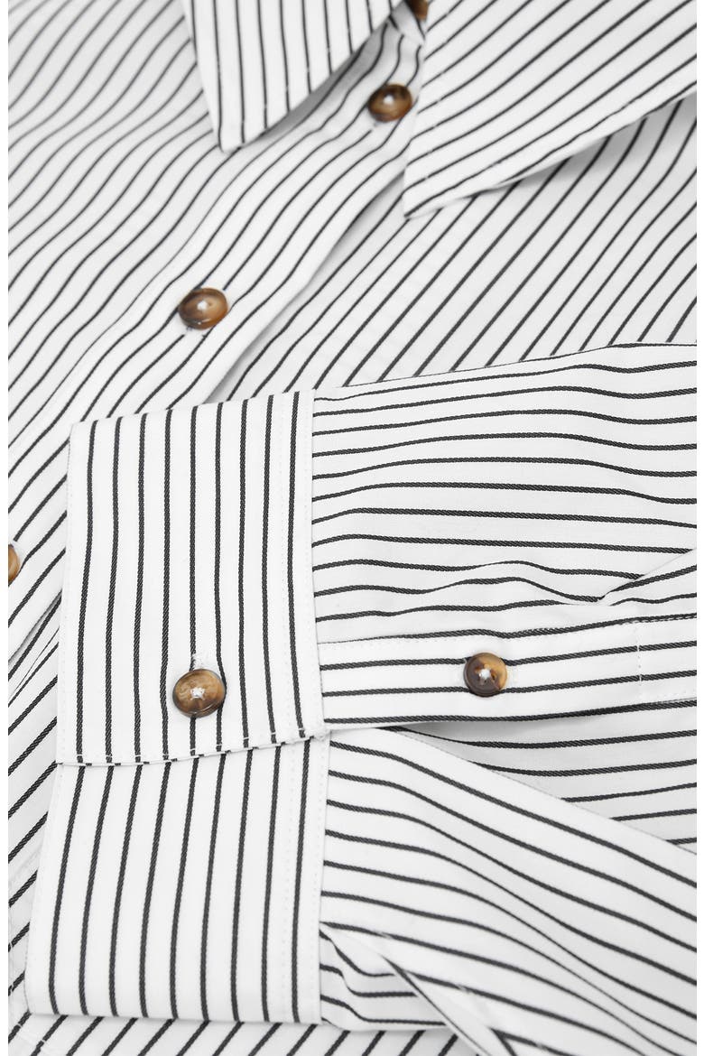 Saoirse Stripe Button-Up Shirt, Alternate, color, IVORY/ BLUE