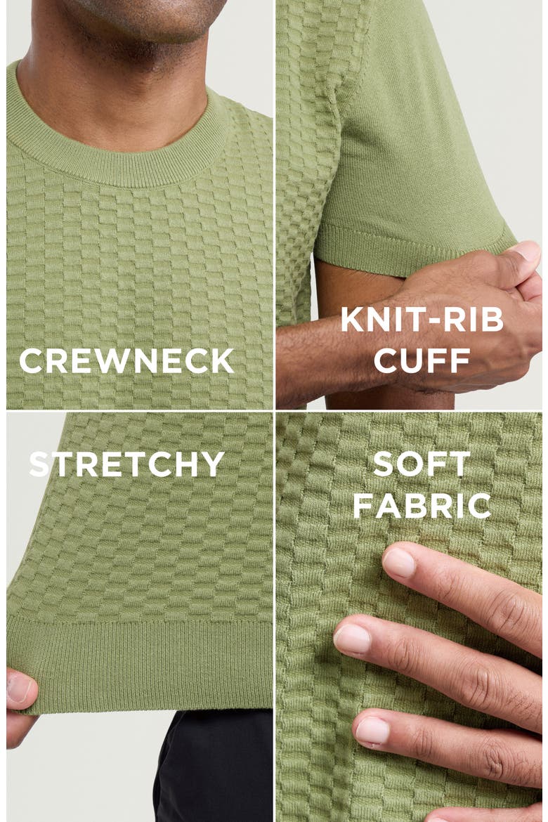 Check Short Sleeve Sweater, Alternate, color, GRASS
