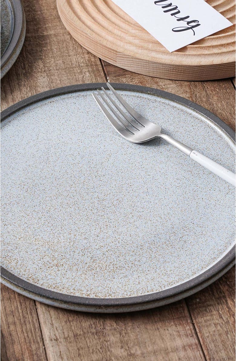 Stone Lain Vince Stoneware 4-Piece Dinner Plate Set, Alternate, color, Gray-Green-Blue