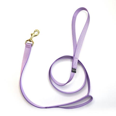 Double Handle Dog Leash