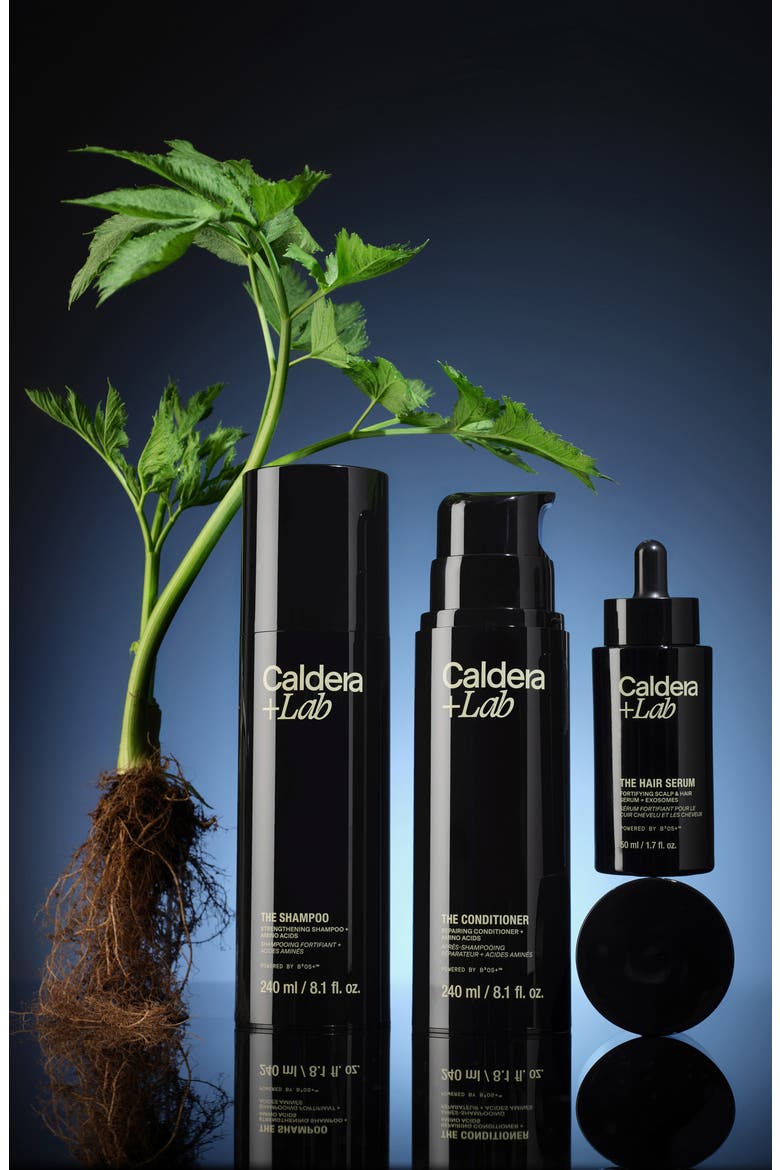 The Hair Care System Set, Alternate, color, NO COLOR