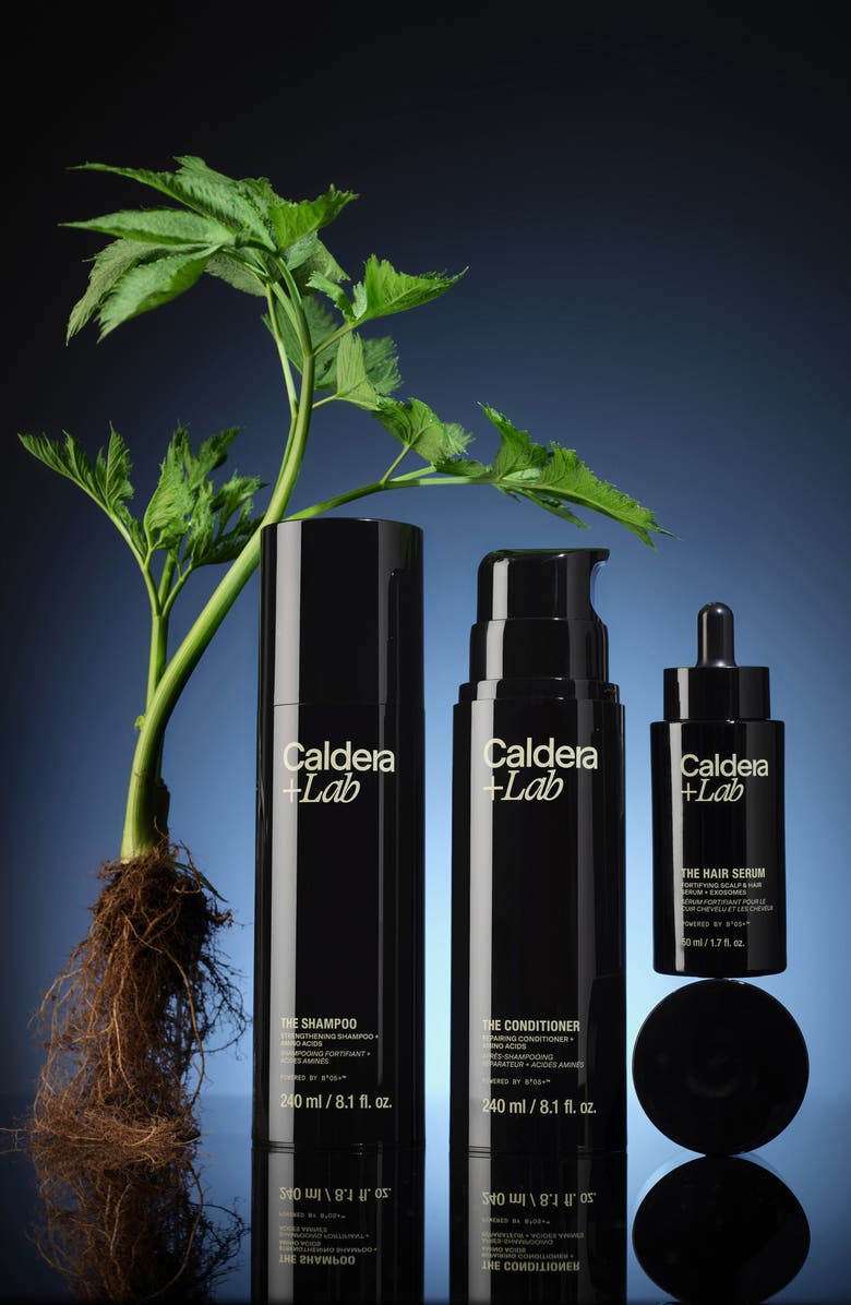 Caldera + Lab The Hair Care System Set, Alternate, color, 