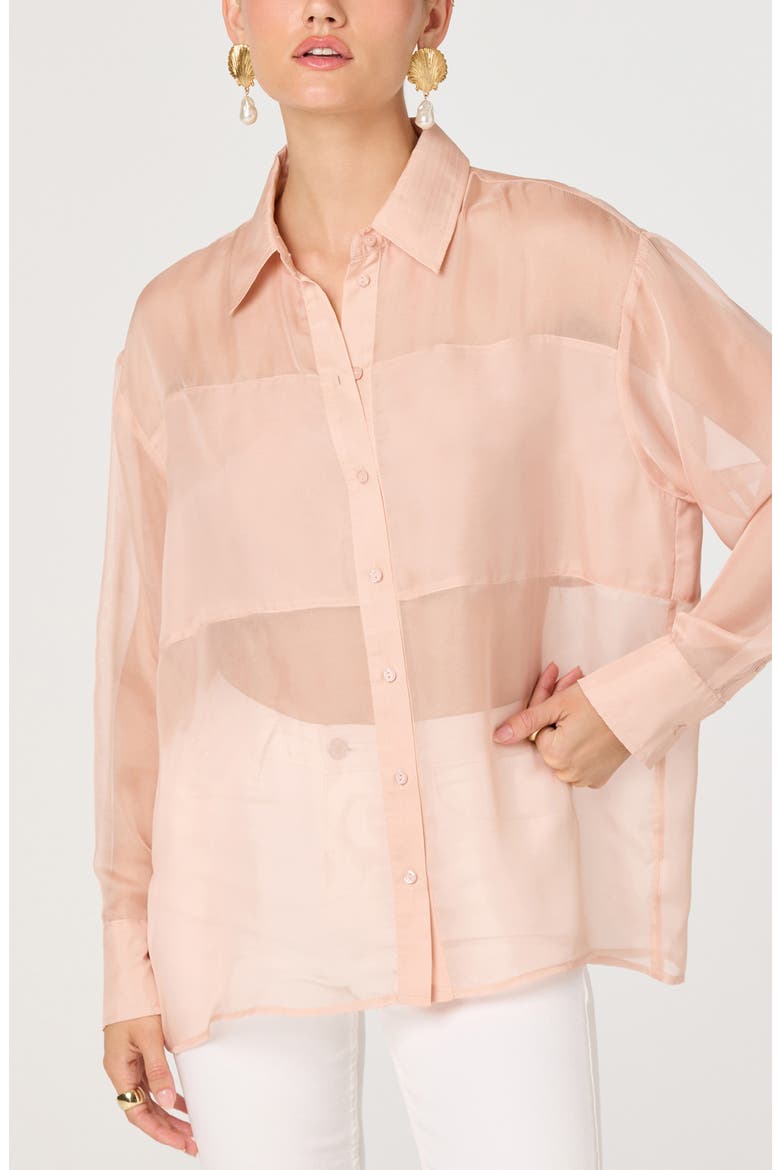 Evie Semisheer Long Sleeve Button Front Shirt, Alternate, color, BLUSH