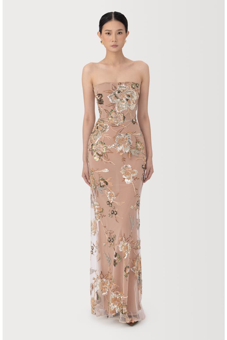 Pippa Floral Embellished Mesh Gown, Alternate, color, TAUPE MULTI