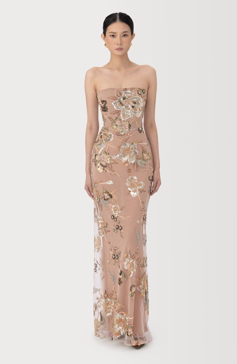SAU LEE Pippa Floral Embellished Mesh Gown, Alternate, color, Taupe Multi