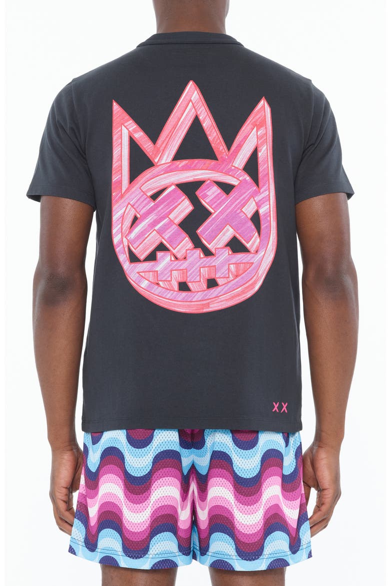 Shimuchan Cotton Graphic T-Shirt, Alternate, color, STEEL