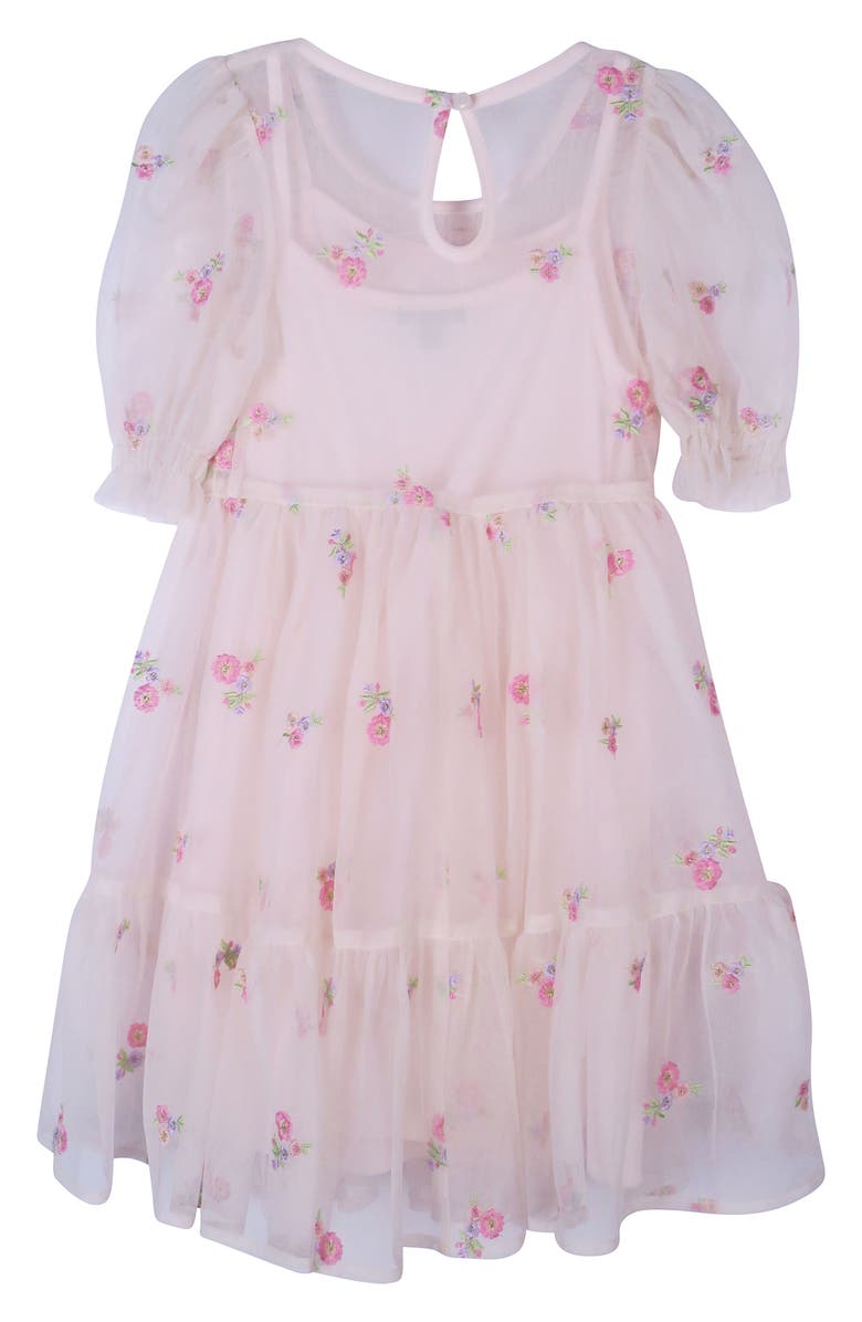 Zunie Kids' Embroidered Mesh Dress, Alternate, color,