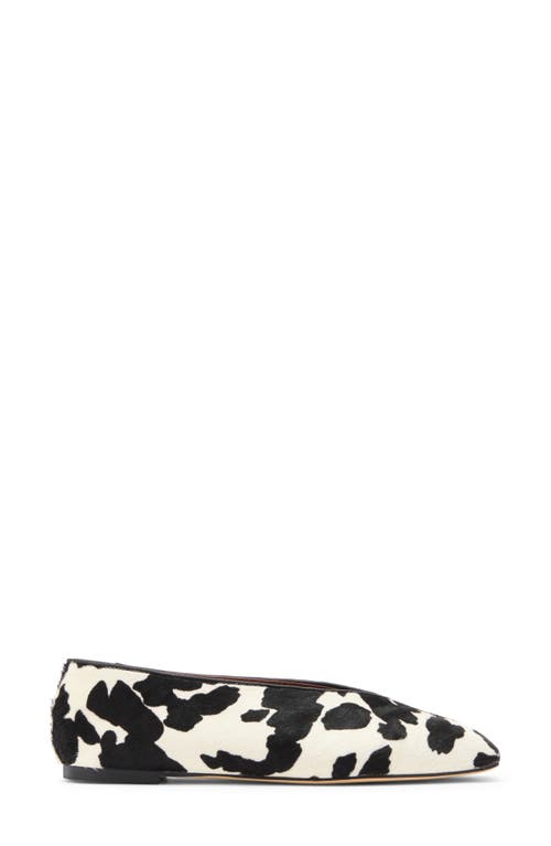 Tony Bianco Bayley Genuine Calf Hair Ballet Flat In Black/white Pony