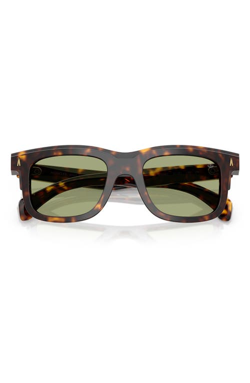 Moncler Claro 51mm Polarized Square Sunglasses In Tortoise