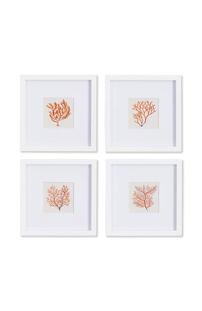Napa Home & Garden Branch Coral Petite Prints Set of 4, Main, color, 