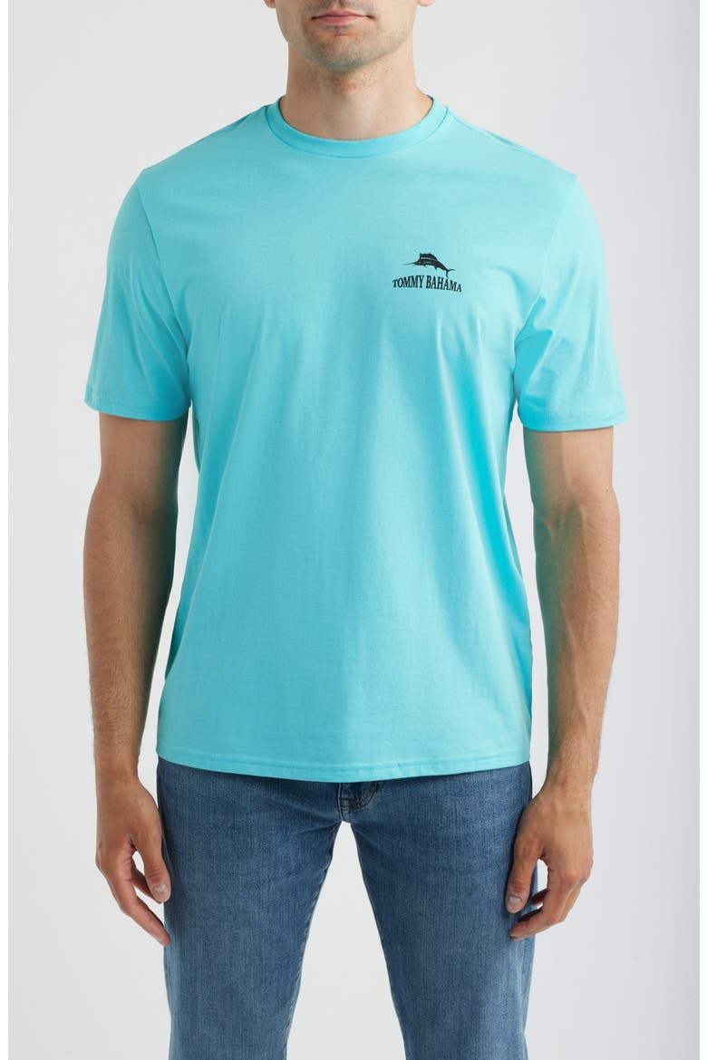 The Coast is Clear Cotton Graphic T-Shirt, Main, color, BLUE RADIANCE