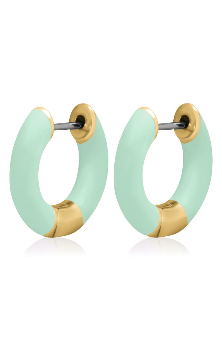 ES JEWELRY Tubular Enamel Hoop Earrings, Alternate, color, 